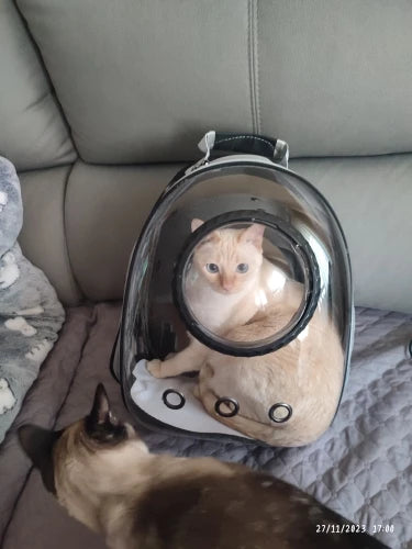 Cosmic Cat Capsule Space-View Backpack