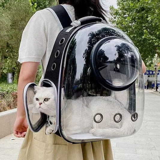 Cosmic Cat Capsule Space-View Backpack