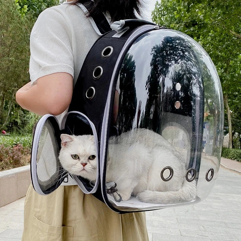 Cosmic Cat Capsule Space-View Backpack